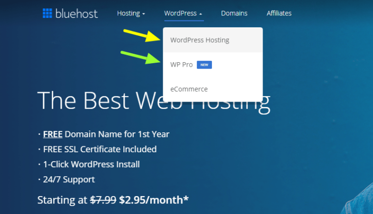 Bluehost both kind wordpress hosting