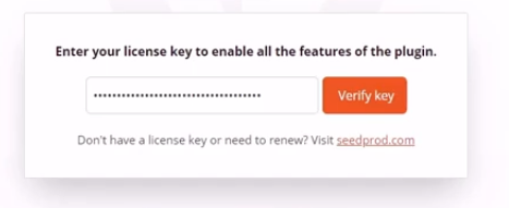 Enter your key for authorisation to use SeedProd